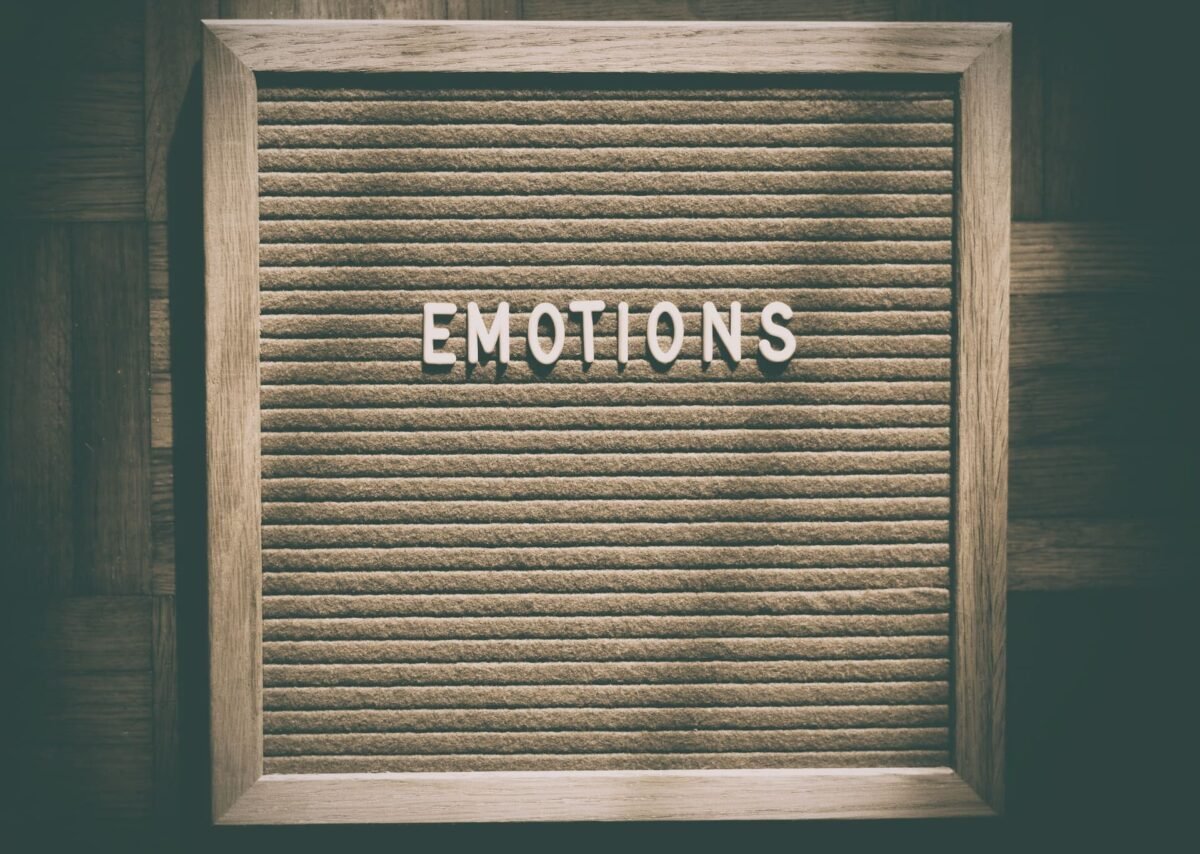 emotional intelligence in the workplace