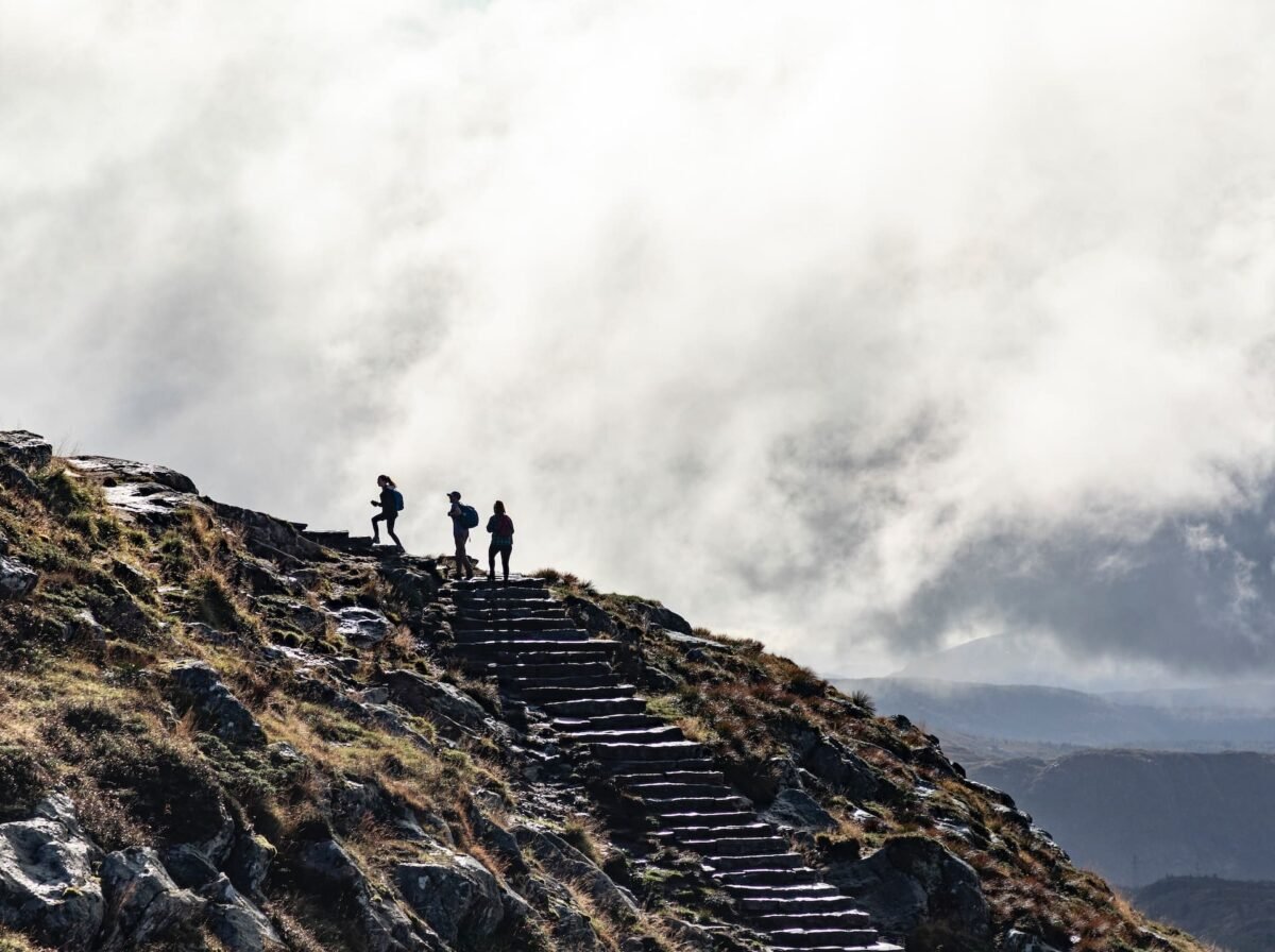 daring leadership assessment 1