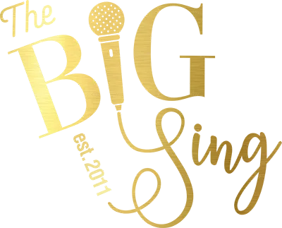 big-sing.com logo (transparent)