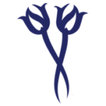 Blue Tulip Consultancy logo