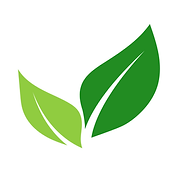Dewpoint Communications logo