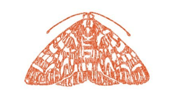 MothWorks / The Moth logo