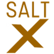 SaltX logo
