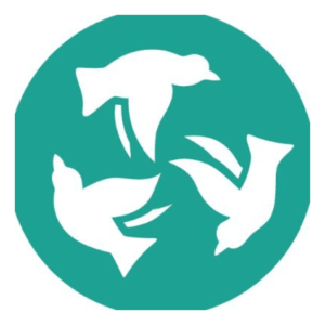 Starling Arts