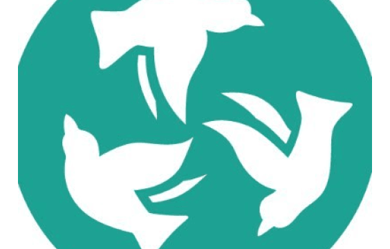 Starling Arts logo