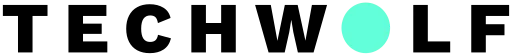 techwolf.ai logo (transparent)