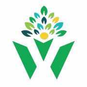WellFi logo