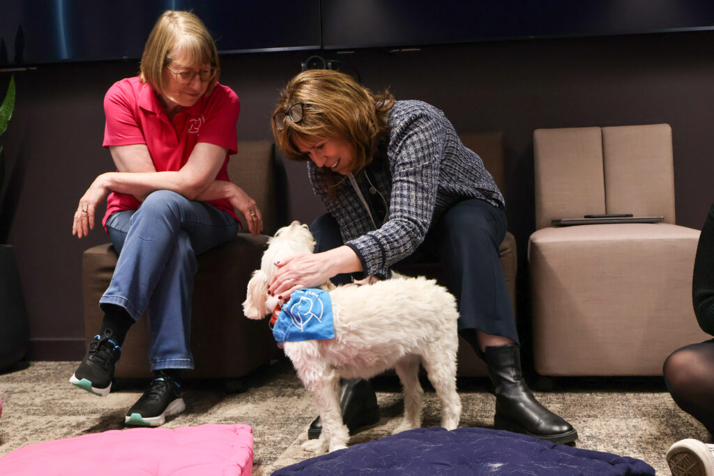 A therapy dog visiting a workplace