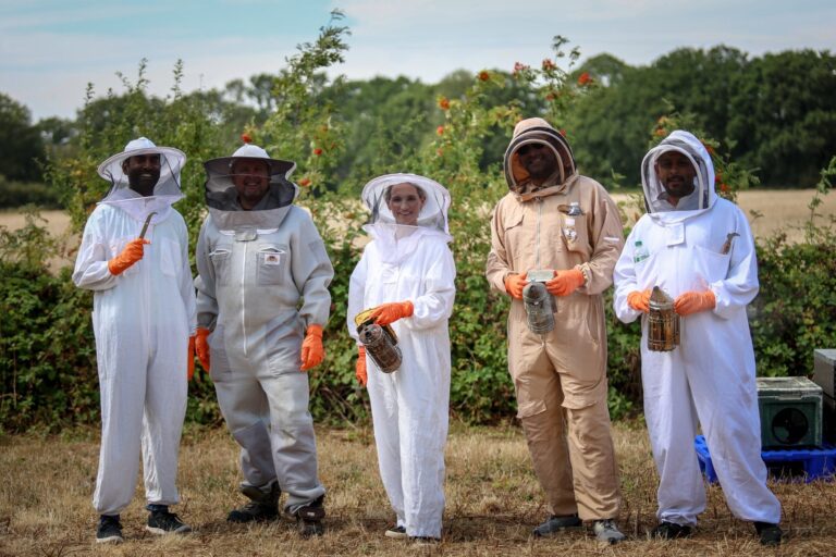 Bramble Farm Bees