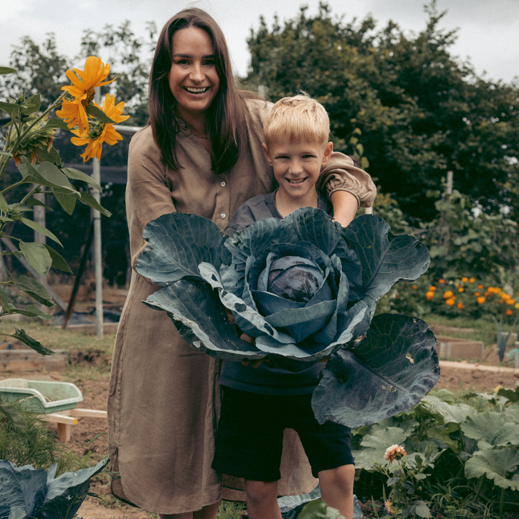 Seed Folk