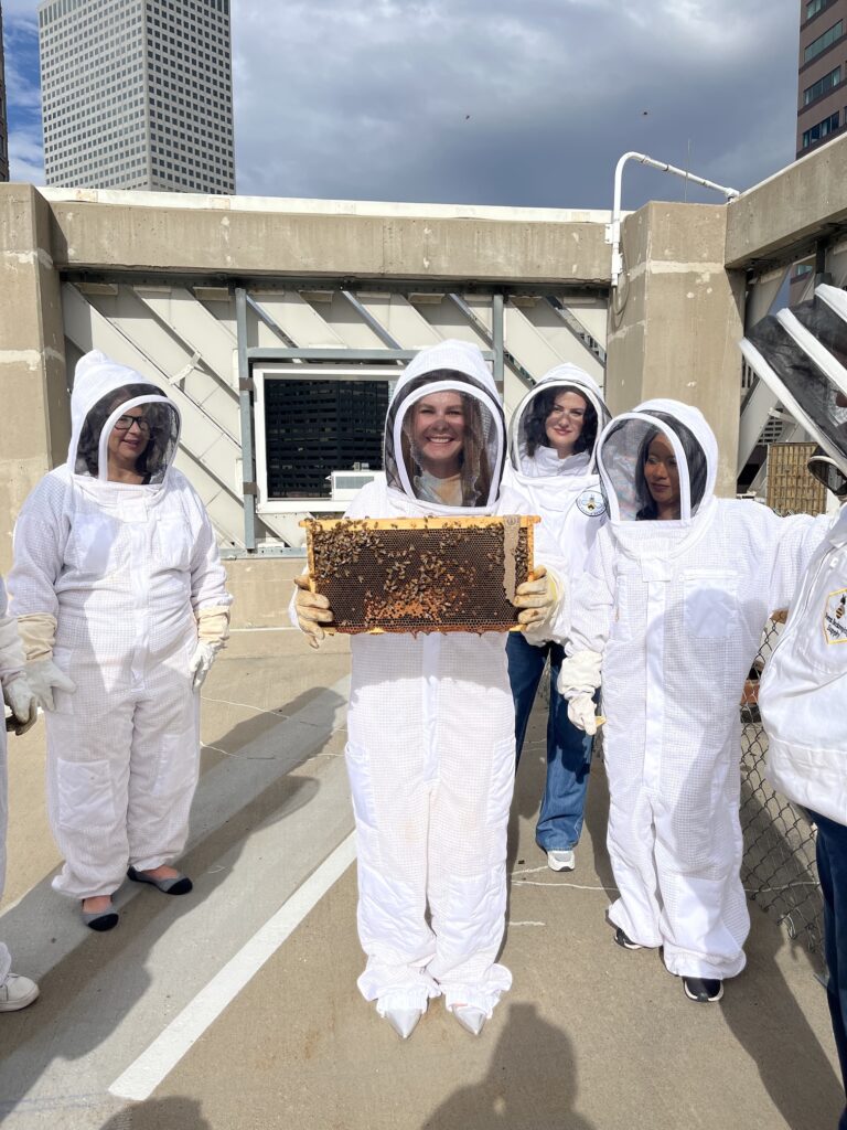 Free Range Beehives