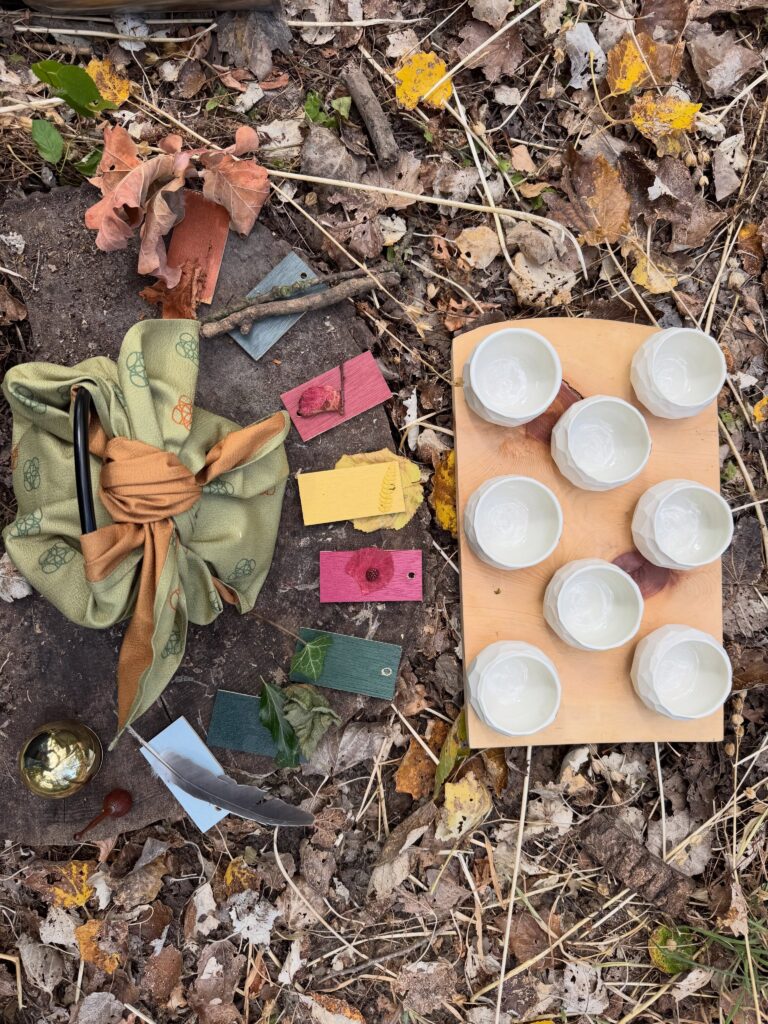HINOKI Forest Bathing