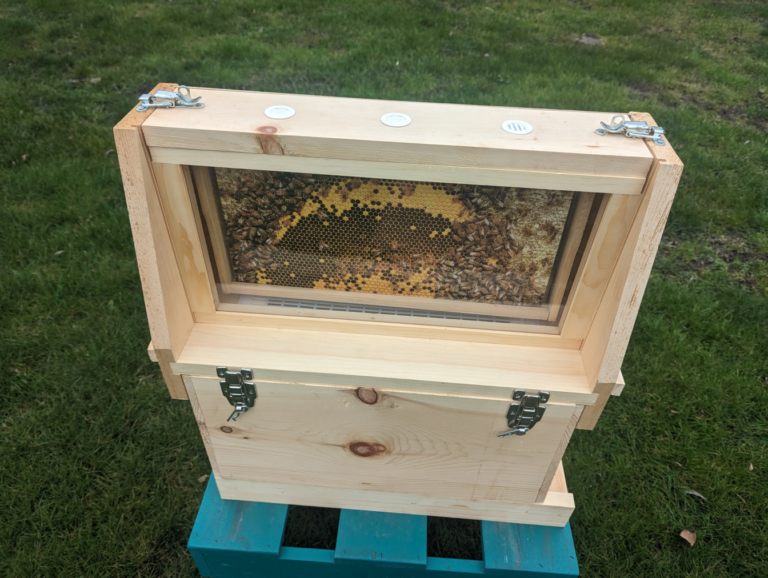 Pro Bee Rescue